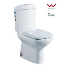 Washdown 2-teiliges WC / Wasserzeichen Standard (CVT3882)